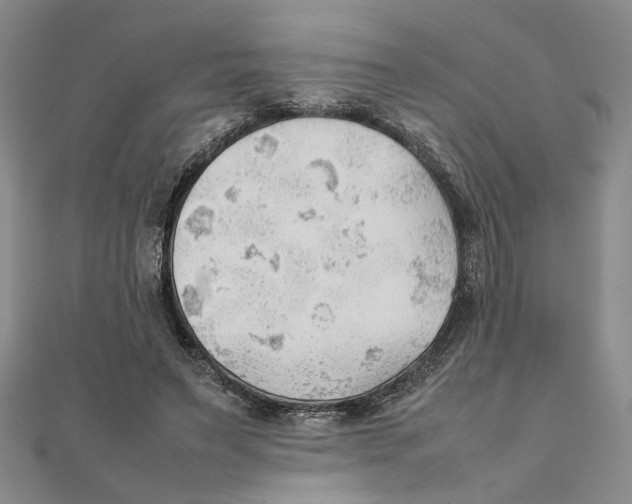 X0000111350495200908071136