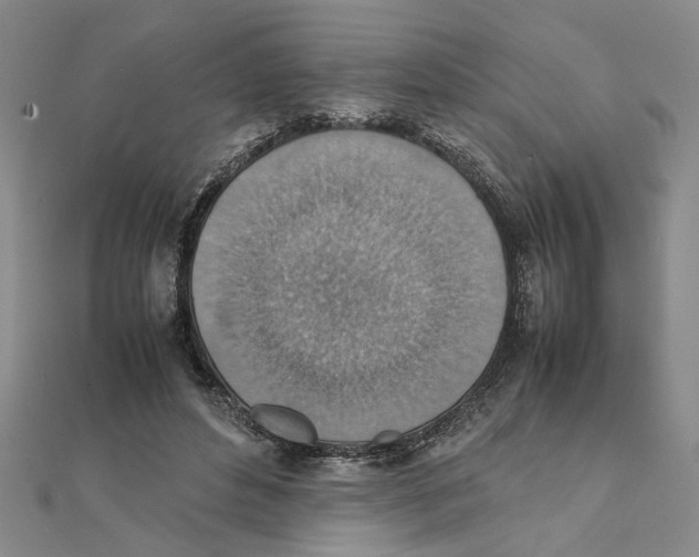 X0000111350496200908071136