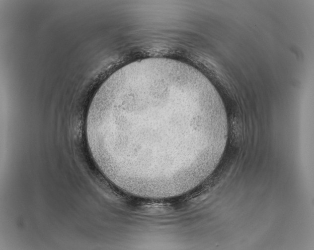 X0000111350499200908071136