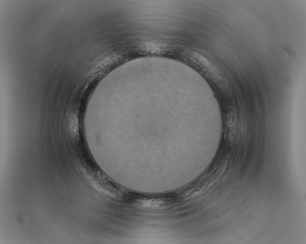 X0000111350500200908071136