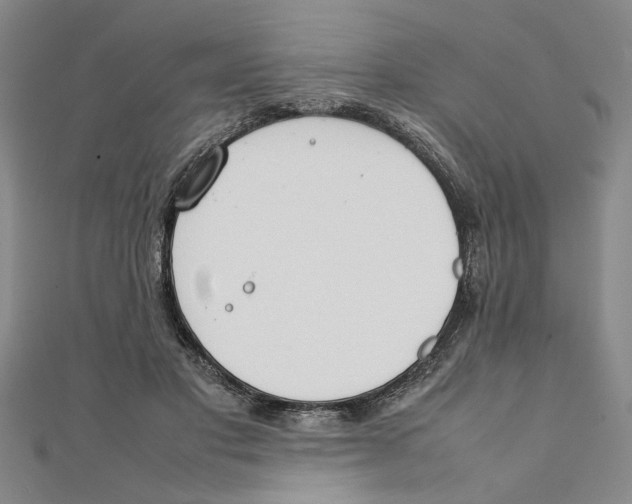 X0000111350501200908071136