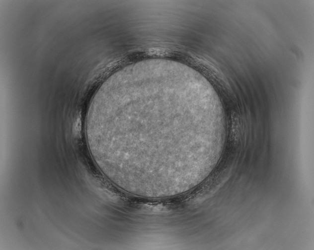 X0000111350502200908071136