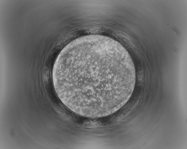 X0000111350503200908071136