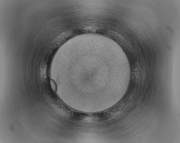 X0000111350504200908071136