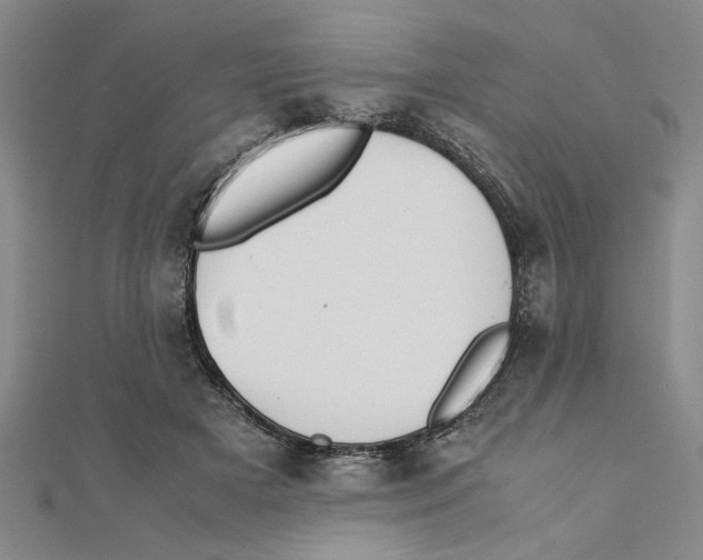 X0000111350505200908071136