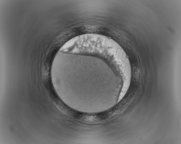 X0000111350507200908071136