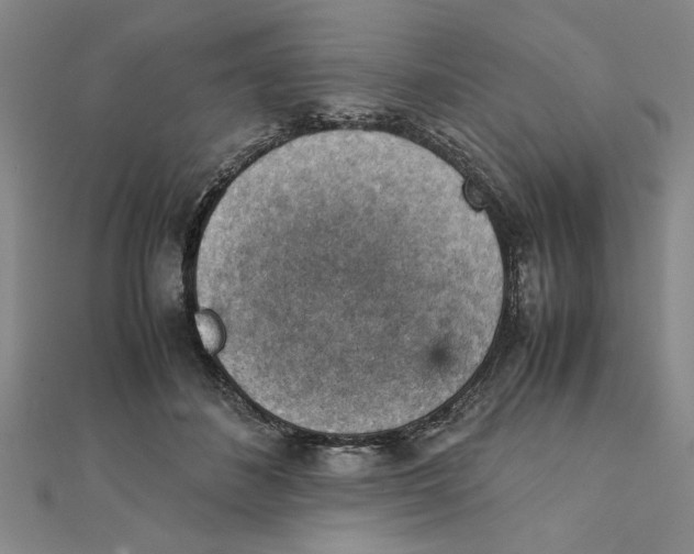 X0000111350508200908071136