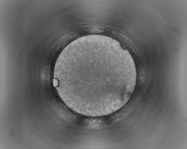 X0000111350512200908071135