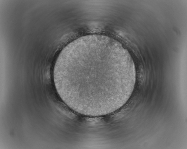 X0000111350516200908071135
