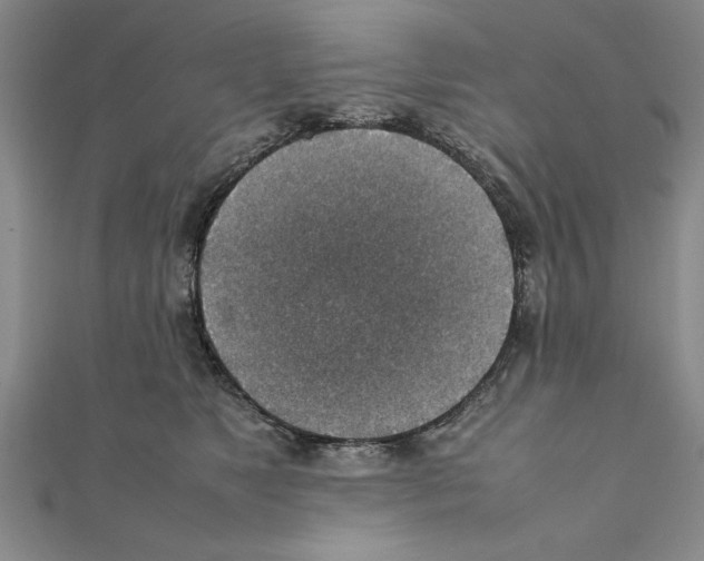 X0000111350517200908071135