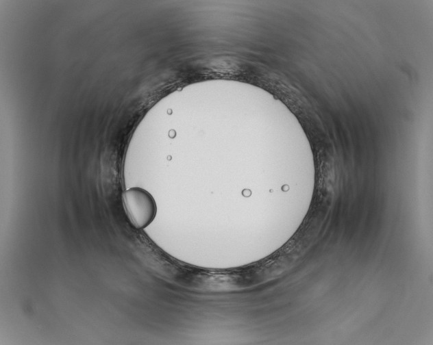 X0000111350518200908071135