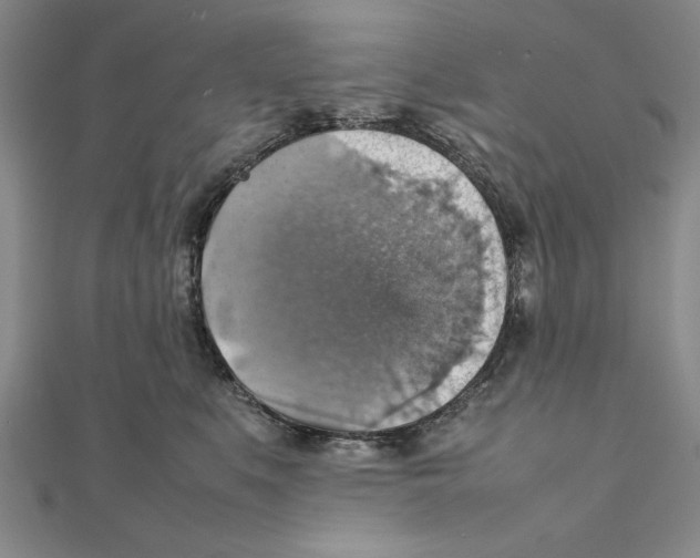 X0000111350519200908071135
