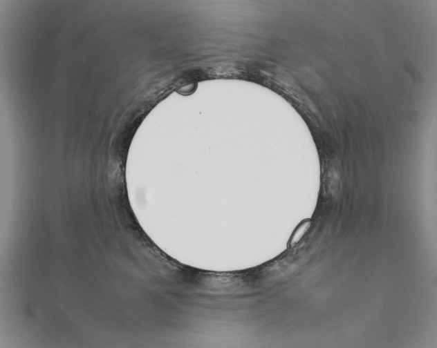 X0000111350521200908071135