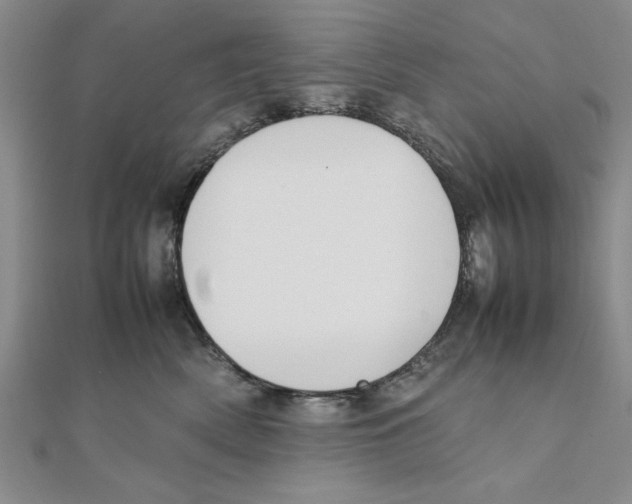 X0000111350522200908071135