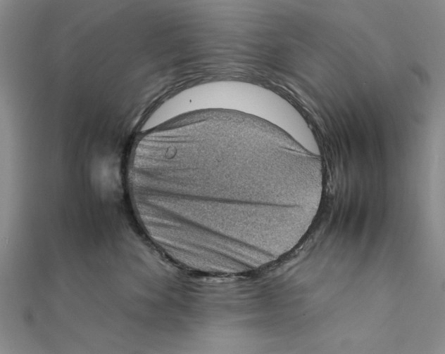 X0000111350524200908071135