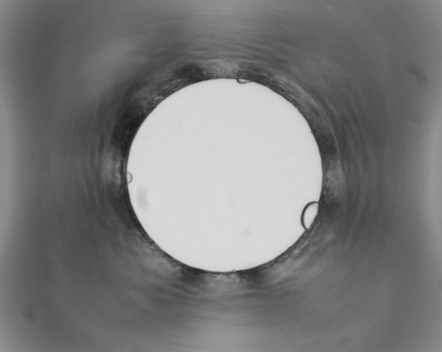 X0000111350525200908071135