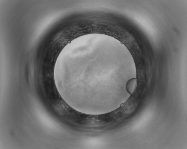 X0000111350526200908071135
