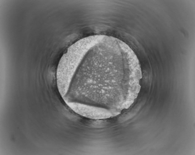 X0000111350527200908071135