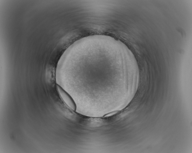X0000111350528200908071135
