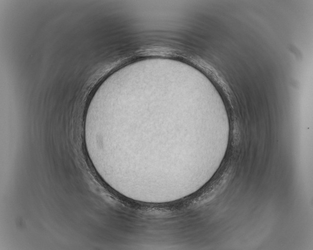 X0000111350529200908071134
