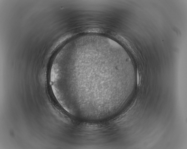 X0000111350531200908071135