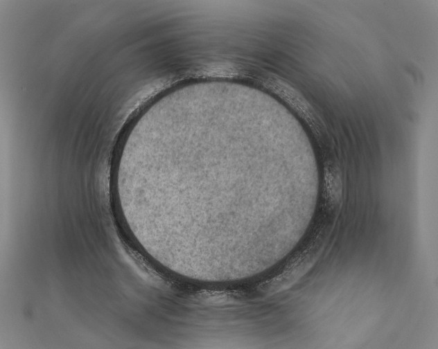 X0000111350534200908071135