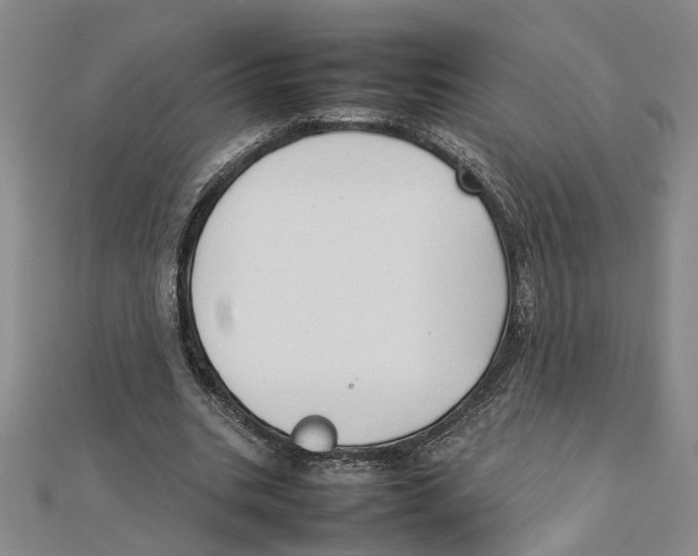 X0000111350535200908071135
