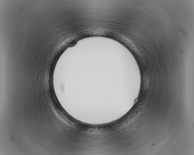 X0000111350538200908071135