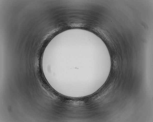 X0000111350539200908071135