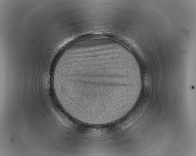 X0000111350540200908071135