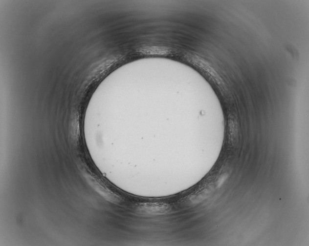X0000111350541200908071135