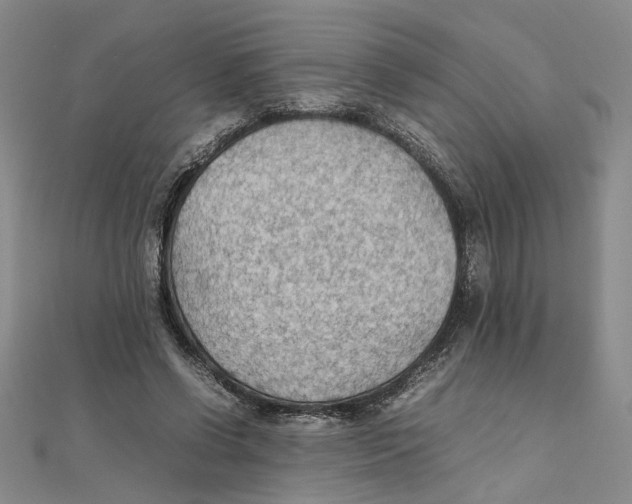 X0000111350542200908071135