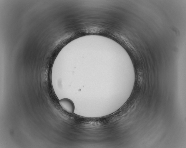 X0000111350543200908071135