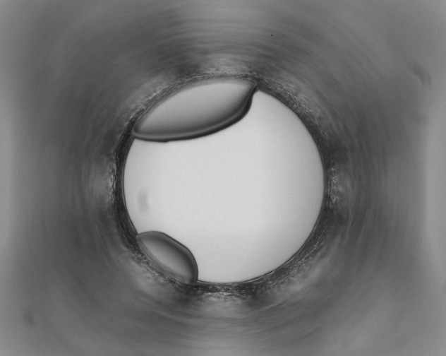 X0000111350544200908071135