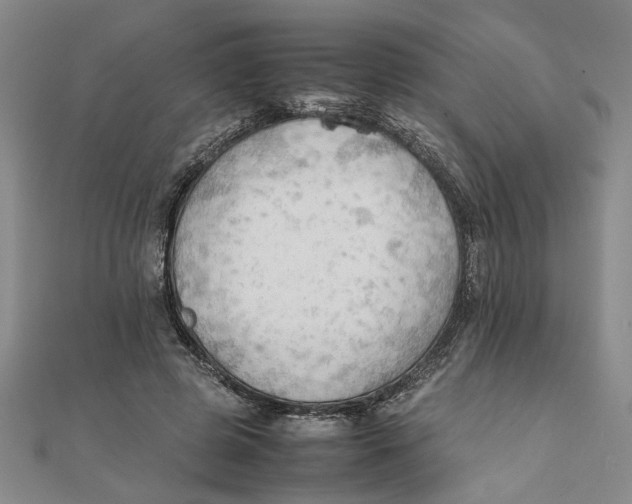 X0000111350545200908071135
