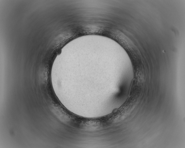 X0000111350546200908071135
