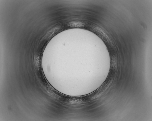 X0000111350549200908071135