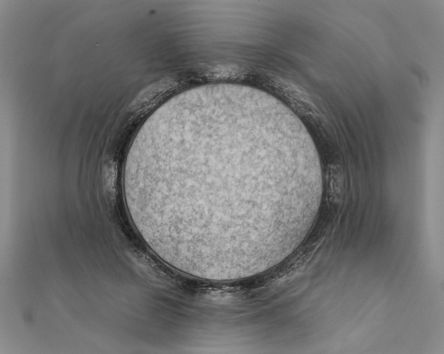 X0000111350550200908071135