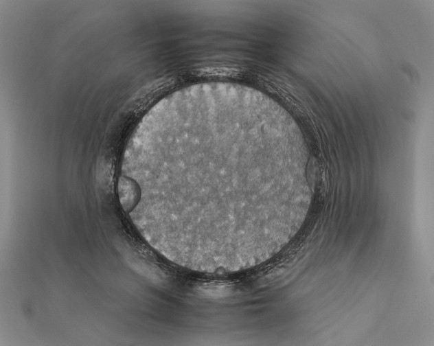 X0000111350551200908071135
