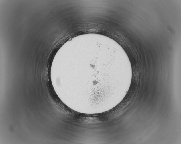 X0000111350552200908071135