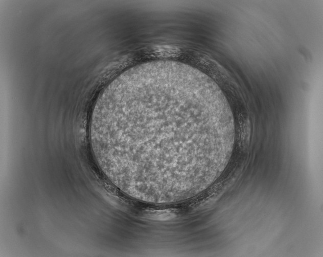 X0000111350553200908071135