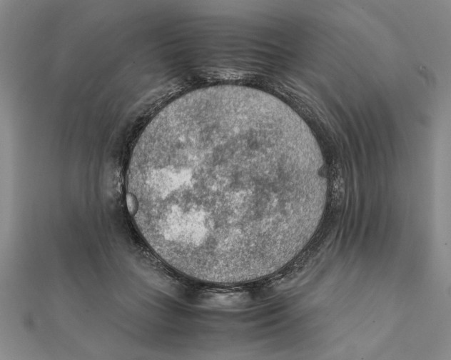 X0000111350555200908071135