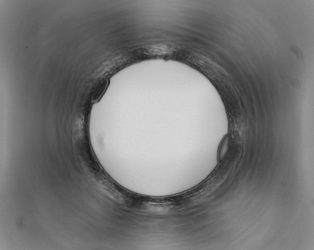 X0000111350556200908071135