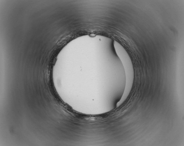 X0000111350558200908071135
