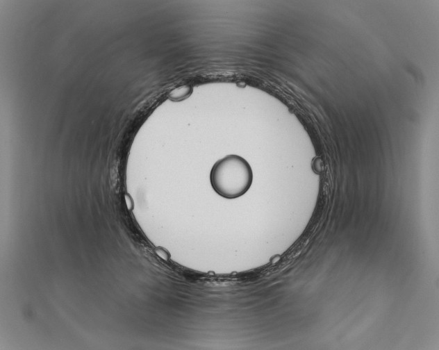 X0000111350560200908071135