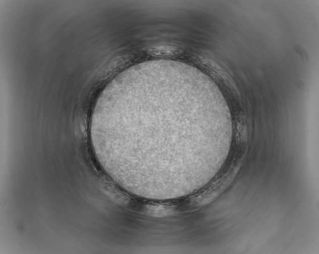 X0000111350561200908071135