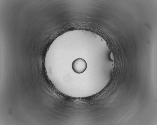 X0000111350562200908071135