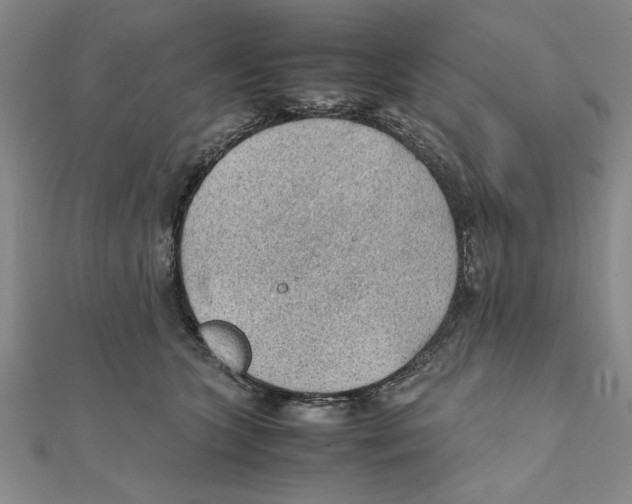 X0000111350563200908071135
