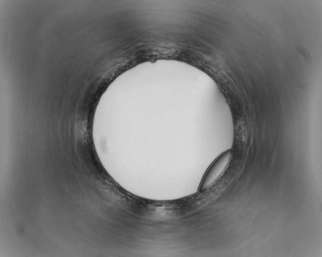 X0000111350564200908071135