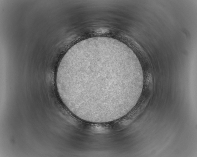 X0000111350565200908071135